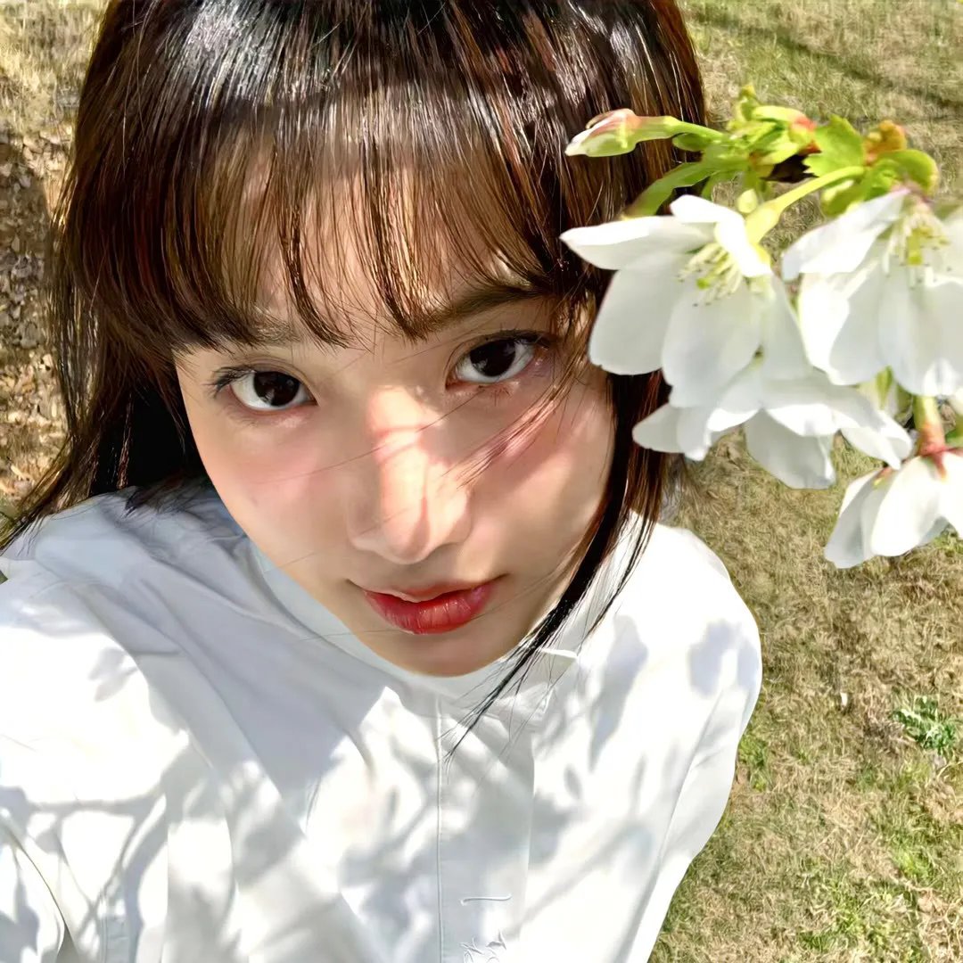 和莎莫的500天