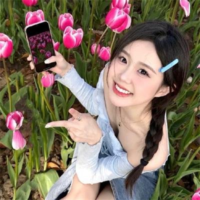 燕子与鹦鹉