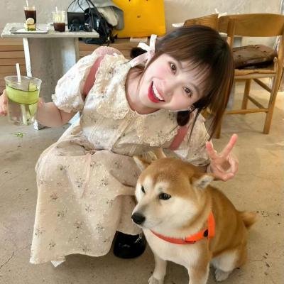 飞碟之夏